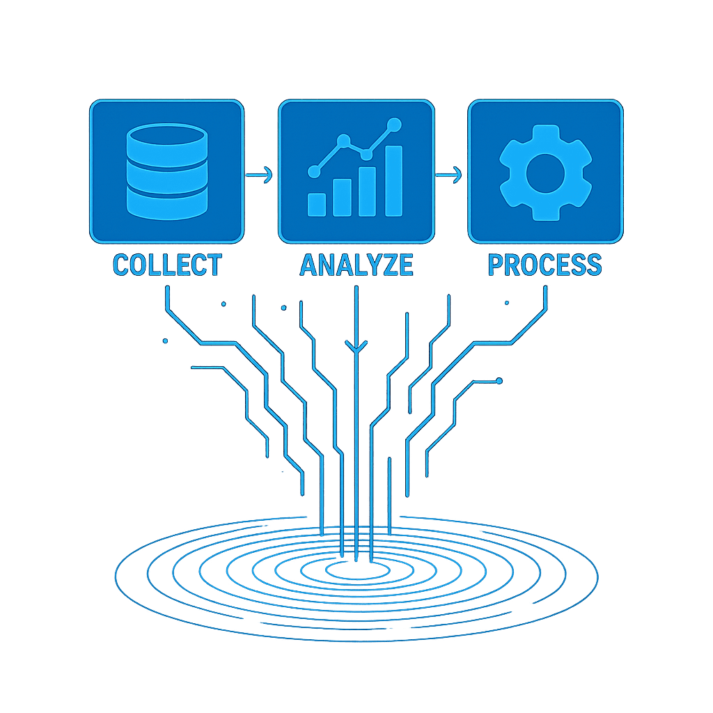 Data Management Steps